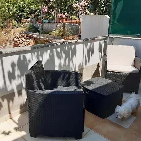Apartment Zerjav *