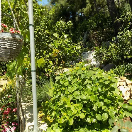 Apartment Zerjav Mali Losinj