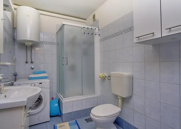 Zerjav * マリ・ロシニュ