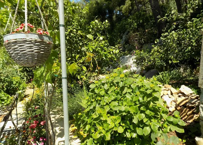 Apartament Zerjav Mali Lošinj